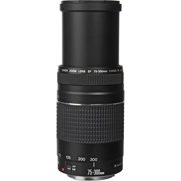 Canon EF 75-300mm f/4-5.6 III USM Lens - Walmart.ca