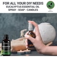 thumbnail image 5 of Eucalyptus Essential Oil - 100% Pure for Aromatherapy - for Skin, Hair, Scalp and Massage, 5 of 9