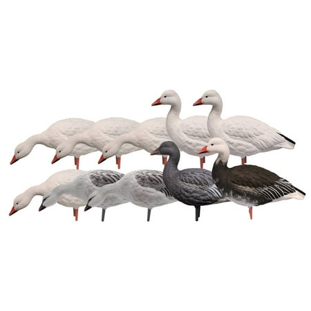 Avian-X AXP Fully Body Snow/Blue Mix Goose Decoys 10 Pack
