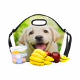 thumbnail image 5 of SUNENAT Neoprene Lunch Tote Bag Funny Labrador Retriever Puppy Dog Large Neoprene Food Container Gourmet Tote Cooler with Shoulder Strap for Women Men, 5 of 5