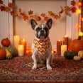 thumbnail image 6 of Halloween Pet Bandana for Dogs and Cats, Adjustable Scarf, Spooky Motifs for Holiday Parties, Slobber Bib, Multi-functional Pet Accessory, Washable Costume Outfit, 6 of 6