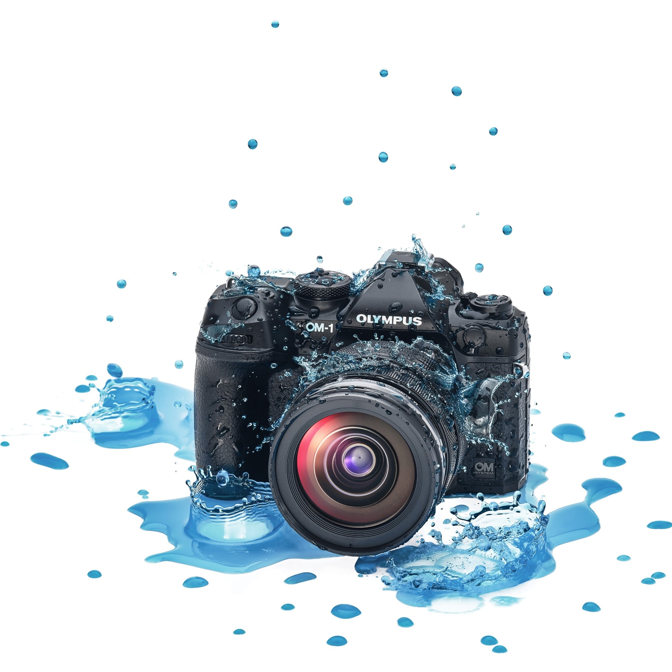 Olympus OM SYSTEM OM-1 20.4 Megapixel Mirrorless India | Ubuy