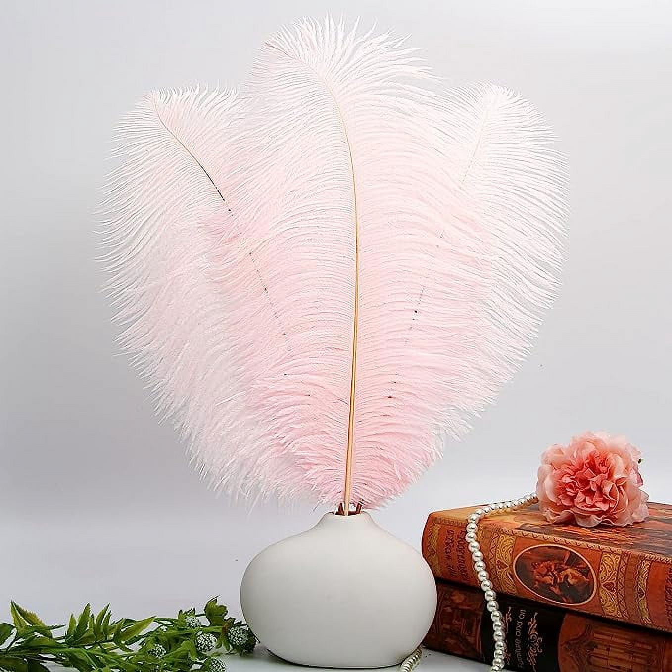 Nvzi 12pcs Pink Ostrich Feathers Natural Bulk 16-18Inch 40cm-45cm for Wedding Party Centerpieces Easter Gatsby and Home Decorate Ostrich Feathers