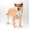 thumbnail image 2 of Zhuge Chaleco para perros y gatos, chaleco transpirable para mascotas, sudadera para cachorros, ropa para perros, prendas de vestir, abrigos para perros pequeños, medianos y gatos, 2XL, A82, 2 of 4