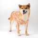 thumbnail image 2 of Zhuge Chaleco para perros y gatos, chaleco transpirable para mascotas, sudadera para cachorros, ropa para perros, prendas de vestir, abrigos para perros pequeños, medianos y gatos, XL, A82, 2 of 4