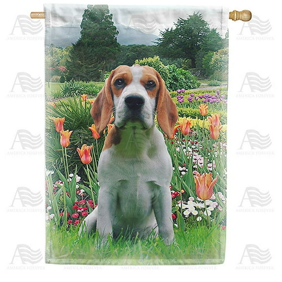 America Forever Spring Dog House Flag 28 x 40 inches Double Sided Summer Spring Floral, Tulips, Colorful - Seasonal Yard Lawn Outdoor Decorative Beagle House Flag