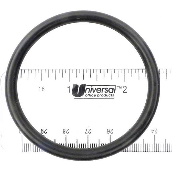 S-Seal APCO2196 Swimquip 355051318 O-Ring