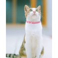 thumbnail image 2 of Mumup 1Pack Suede Breakaway Cat Collar with Sparkling Rhinestones & Bell - Soft Adjustable Safe Release Kitten CollaCats, 2 of 7
