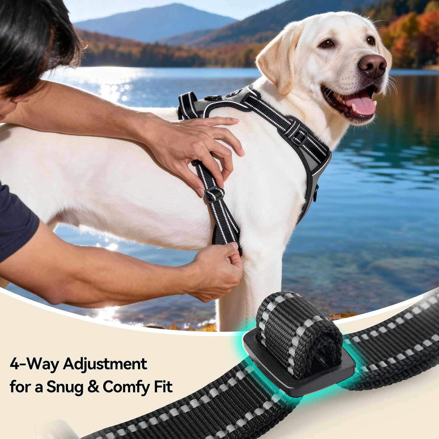 No Pull Dog Harness Medium Reflective Front Clip Vest with Handle, Adjustable 2 Metal Rings 2 Buckles(M, Grey)