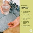 thumbnail image 4 of Banyan Botanicals Triphala Tablets - Organic Triphala Supplement with Amla, Haritaki & Bibhitaki   for Daily Detoxifying, Cleansing, & Rejuvenating*   180 Tablets   Non-GMO Sustainably Sourced Vegan, 4 of 9