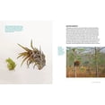 thumbnail image 4 of Air Plants - Paperback, 4 of 6