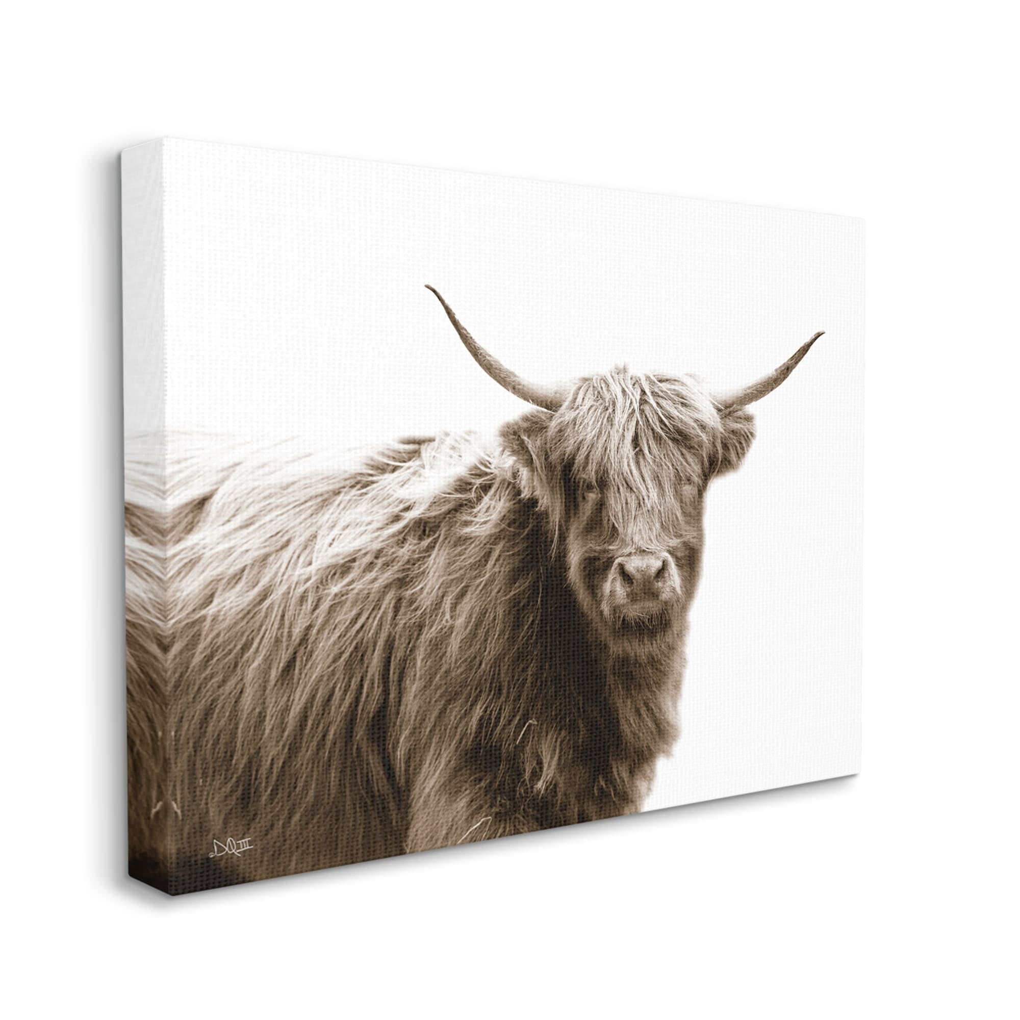 Stupell Industries Quaint Longhorn Cattle Country Animal Photography Canvas Wall Art, 30 x 24, Design by Donnie Quillen