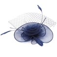 thumbnail image 2 of Sombrero de gasa para mujer, tocado de jaula de pájaros para boda, accesorio para el cabello de plumas (azul profundo), 2 of 7