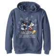 thumbnail image 1 of Disney Characters Discover Boy's Hooded Pullover Fleece, Navy Blue Heather, Large, 1 of 2