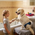 thumbnail image 7 of Kuoser Reusable Dog Diaper, Period Pant for Females in Heat & Incontinence Wrap for Males, Washable, Blue, M (1 Pack), 7 of 7