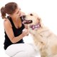 thumbnail image 4 of Collares para perros y gatos Apuakthei con pajaritas ajustables desmontables, de caballero,, 4 of 5