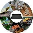 thumbnail image 4 of NUOLUX 1Ud Reptile Accessories Negro Textura Natural Para Comida Y, 4 of 8