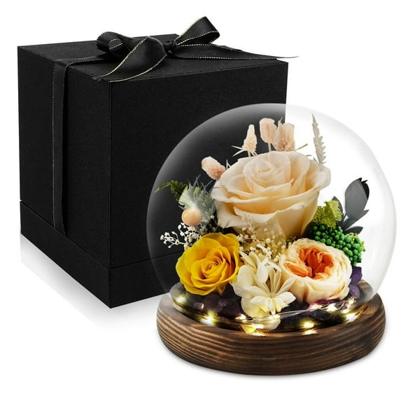 Preserved Roses Gifts for Women Mom Grandma Friend,Long-Lasting Real Flowers in Glass Dome with LED Strip,for Mothers Day Valentines Day Christmas Thanksgiving (Purple Rose)