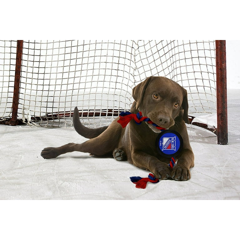 New York Rangers Dog Jerseys, Rangers Pet Carriers, Harness, Bandanas,  Leashes