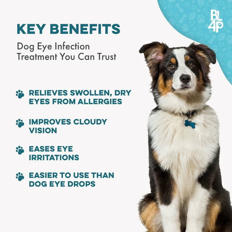 BestLife4Pets Eye Care and Eye Infection Supplement Natural