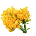 thumbnail image 2 of 2pcs DIY model materials Sandbox building Tree trunk flower Materials optional, 2 of 7