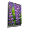 thumbnail image 2 of Epic Graffiti 'Blue Violet Lupine Flower' by Cora Niele, Canvas Wall Art, 40"x60", 2 of 8