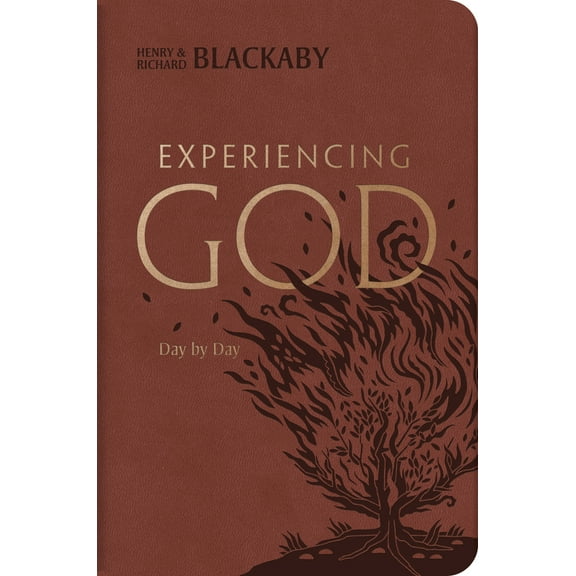 Pre-Owned Experiencing God Day by Day: Daily Devotional (Imitation Leather) 1433645726 9781433645723