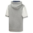 thumbnail image 3 of Youth  Heather Gray Detroit Tigers Line Up Short Sleeve Pullover Hoodie, 3 of 3