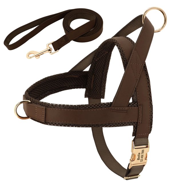 Personalized Dog Harness Leash Set No Pull Dog Harnesses Adjustable Pet Vests For Small Medium Large Dogs Pets Walking Lead Rope ShopWise Round