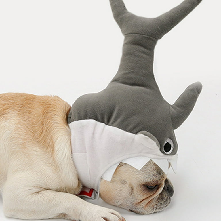 Dog shark hat 2025