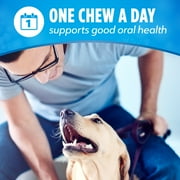 Purina DentaLife Chicken Dental Treats Variety Pack for Dogs, 14.7 oz Pouches (3 Pack)