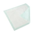 thumbnail image 4 of TENA Ultra Plus Disposable Underpad Polymer 28x30" 365 100 pads, 4 of 5