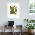 thumbnail image 3 of Art.com Fantastical Botanical IV Art Print by Vision Studio, White Frame Wall Art, 32" x 40", 3 of 5