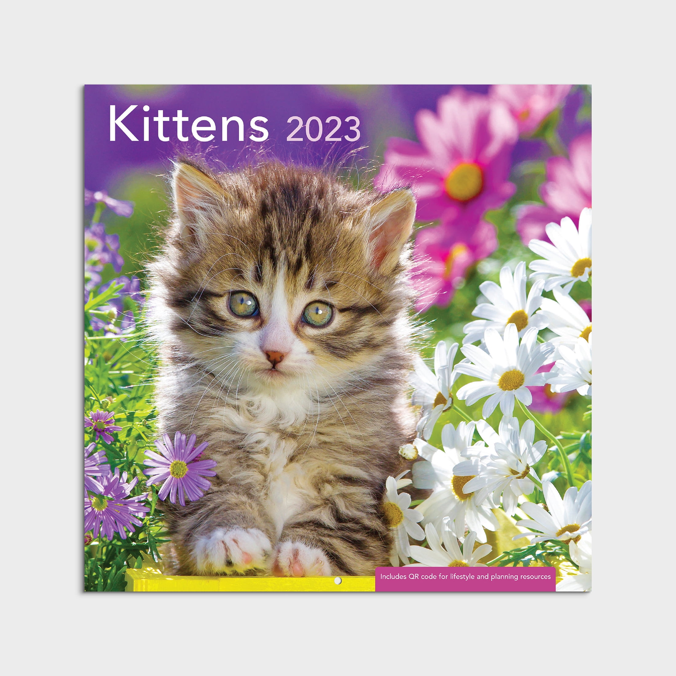 2023-12 Month Calendar- Kittens 12x12 Hanging Wall Calendar by DaySpring