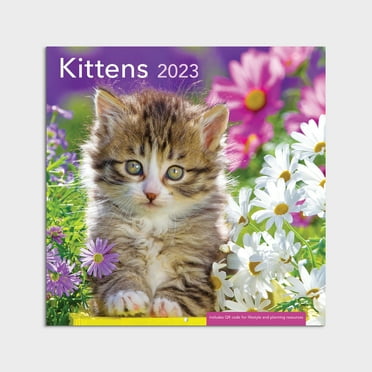 2023-12 Month Calendar- Kittens 12x12 Hanging Wall Calendar by DaySpring