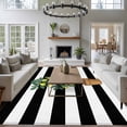 thumbnail image 3 of Summer Lemon Area Rugs 5'x7', Washable Small Throw Rugs for Laundry Room Playroom, Black White Striped Potted Plant Indoor Outdoor Rug Non-Slip Low Pile Carpet Runner Reversible Floor Mats, 3 of 8