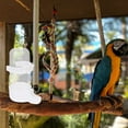 thumbnail image 4 of Pet Bird Water Feeder Parrot Dispenser Automatic for Cage Waterer Drinking Glasses Food Bottle Pigeon Drinker, 4 of 6
