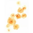 thumbnail image 2 of Vess, June Erica 25x32 White Modern Wood Framed Museum Art Print Titled - Falling Blossoms I, 2 of 4