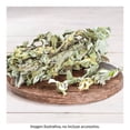 thumbnail image 1 of Salvia por pieza, 1 of 3