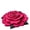 L, variant on 3D Visual Flower Shaped Floor Rugs, 3D Visual Entrance Door Mat Realistic Floral Pattern Non-Slip Absorbent Mat for Bedroom, Kitchen