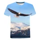 thumbnail image 2 of Camiseta con estampado 3D de animales de águila de verano, camiseta de moda para mujer, camiseta de manga corta con cuello redondo, camiseta de gran tamaño, 2 of 4