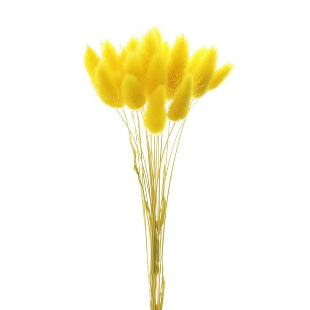 Decoración de hierba de pampa seca natural, ramo de flores de plantas secas, decoración del hogar boho, amarillo