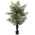 thumbnail image 1 of Palmier Areca de 5 Pi, 1 of 1