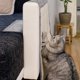 thumbnail image 2 of Alfombrilla rascador para gatos - Protección para sofás, sillones, muebles, suelos y paredes - Alfombrilla de sisal y lino - 130 x 45 cm - Apta para gatos, gatitos y perros (gris claro - blanco), 2 of 5