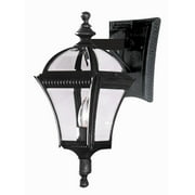 Trans Globe Lighting - One Light Small Outdoor Wall Lantern-Black Gold Finish