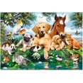 thumbnail image 1 of Otra decoración de pared Kit de pintura de diamante de 30x40 cm para adultos Perro Gato Caballo Pájaro Animal Kits de arte de diamante para adultos Perro Gato Gema Arte Pared Decoración del, 1 of 5