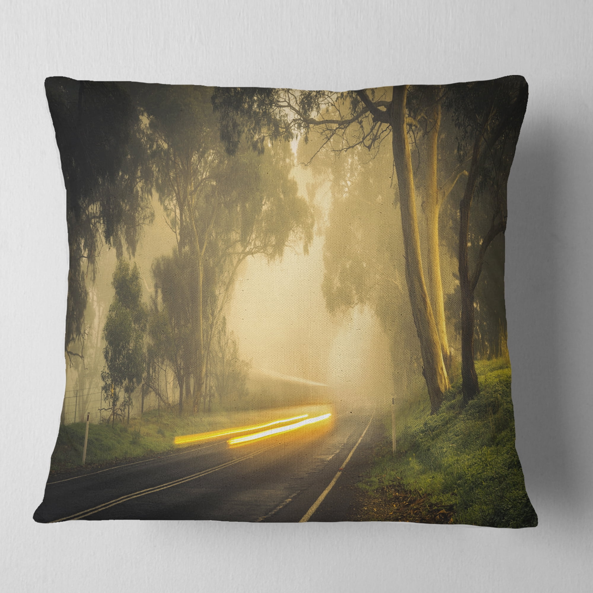 Designart Country Drive - Landscape Photography Throw Pillow - 18x18