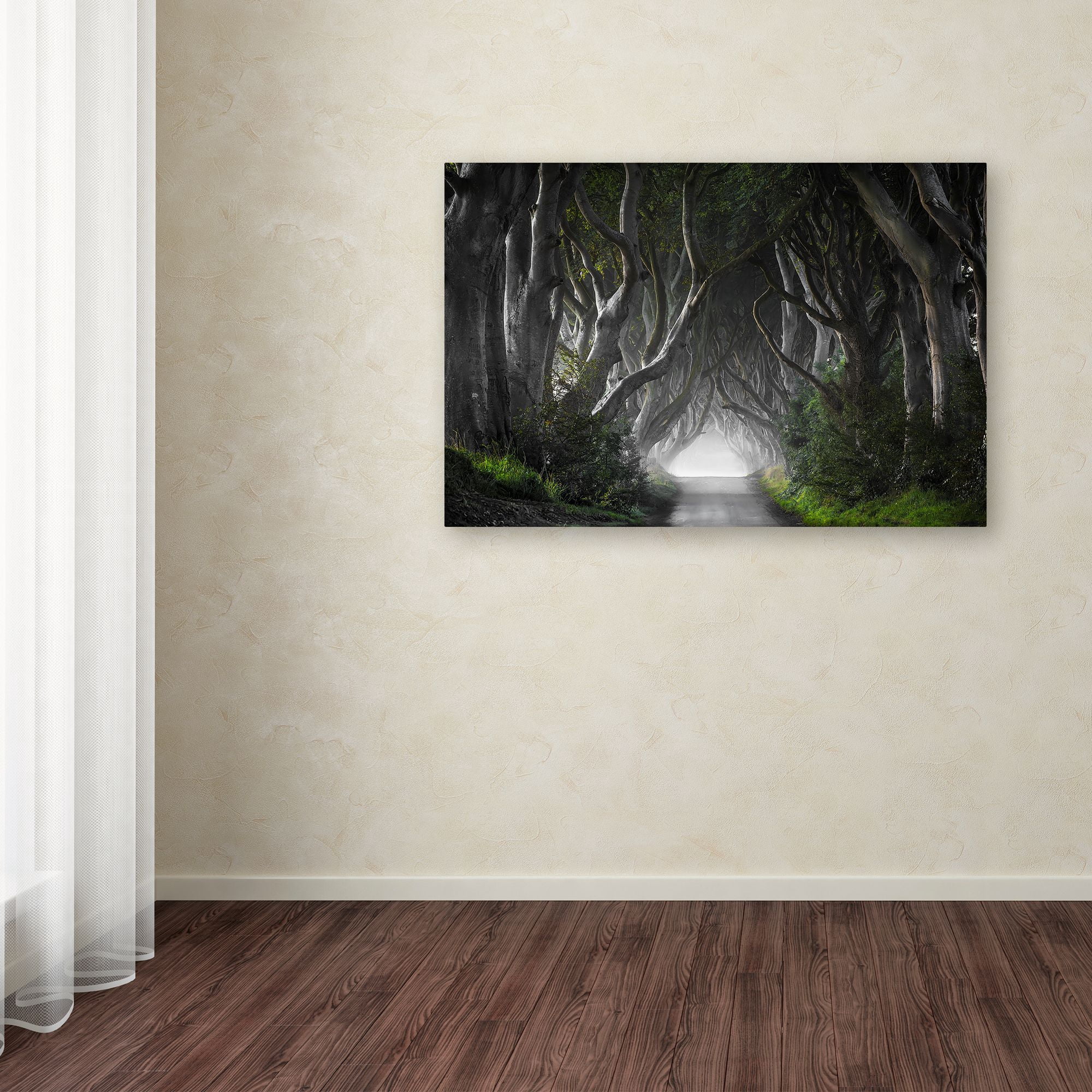Trademark Fine Art 'Dark Hedges' Canvas Art by Nicola Molteni