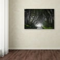 thumbnail image 3 of Trademark Fine Art 'Dark Hedges' Canvas Art by Nicola Molteni, 3 of 3