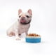 thumbnail image 4 of Cerámico perro plato gato cuenco creativo gato comida cuenco cachorro bebiendo alimentación, 4 of 5